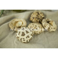 High Quality Dried Vegetable White Flower Mushroom Supplier